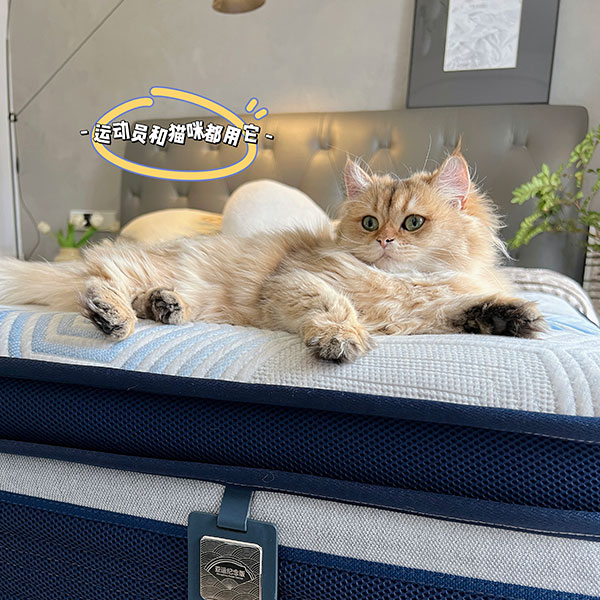 真不是凡尔赛，卧室太舒服了，真的不想起床！